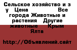 Сельское хозяйство и з/у › Цена ­ 2 500 000 - Все города Животные и растения » Другие животные   . Крым,Ялта